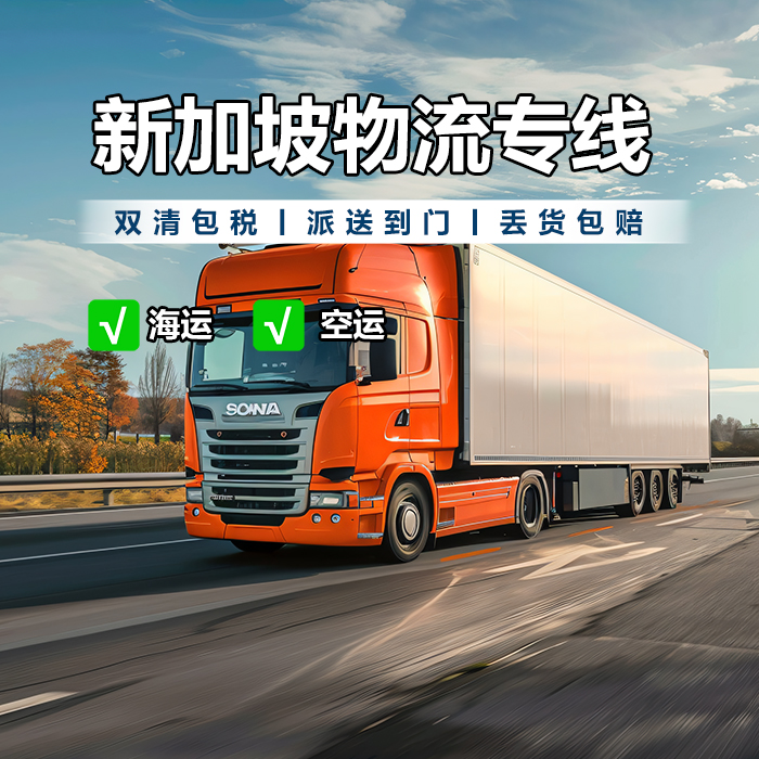 东莞到新加坡物流公司_直达新加坡物流_专线运输效率高！